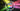 FINAL CUT PRO BUNDLE